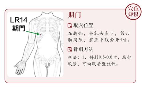 旗門穴|期门穴的准确位置图和作用